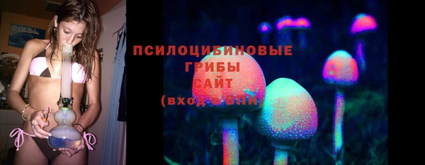 a pvp Верея