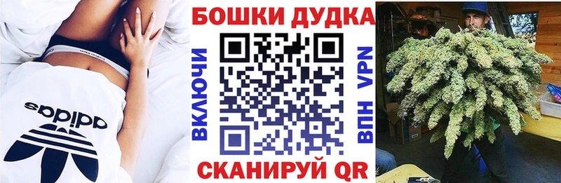 Купить  Новоалтайск  Канабис ГИДРОПОН 